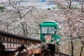 Cherry Blossom Festival at Funaoka Castle Ruin Park,Shibata,Miyagi,Tohoku,Japan on April12,2017:Slope car passing sakura tunnel Royalty Free Stock Photo