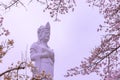 Funaoka Peace Kannon ( Guanyin Bodhisattva ), on the mountaintop of Funaoka Castle Ruin Park Royalty Free Stock Photo
