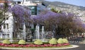 Funchal in Madeira Island Royalty Free Stock Photo