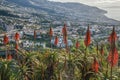 Funchal, Madeira, Portugal. Royalty Free Stock Photo