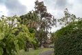 Tropical Park Of The Quinta Das Cruzes, Funchal, Madeira