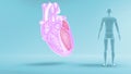 Function of Left Atrium and Left Ventricle of Human Heart