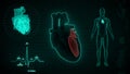 Function of Left Atrium and Left Ventricle of Human Heart