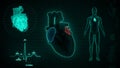 Function of Right Atrium and Left Atrium of Human Heart