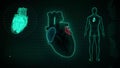 Function of Right Atrium and Left Atrium of Human Heart