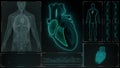 Function of Right Atrium and Right Ventricle of Human Heart