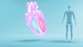 Function of Right Ventricle and Left Ventricle of Human Heart