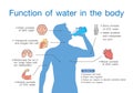 Function of water in the human body.
