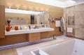 Functional bathroom with mirror with LED lighting and countertop for cosmetics
