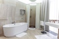 Functional bathroom with walk-in shower, bathtub, comfortable furniture and modern fixtures