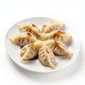 Functional Steamed Dumplings: A Gutai Group-inspired Culinary Delight