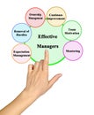 Functions of Effective Managers