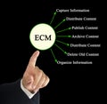 Enterprise content management Royalty Free Stock Photo