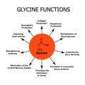 The functions of glycine. Amino acid glycine chemical molecular formula. Vector illustration on isolated background