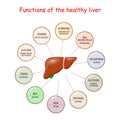 Functions of the Healthy Liver