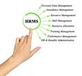 human resource management system Royalty Free Stock Photo