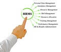 Human resource management system Royalty Free Stock Photo