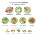 Functions of magnesium in human body and sources in food outline diagram