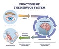 Functions of nervous system from receptor input to effector outline diagram Royalty Free Stock Photo