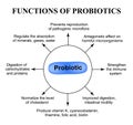 Functions of probiotics. Infographics. Vector illustration on isolated background Royalty Free Stock Photo