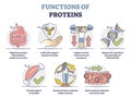 Functions of proteins with anatomical roles in body outline collection set Royalty Free Stock Photo