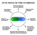 Functions of the synbiotic. Probiotic, prebiotic. Dysbacteriosis. Infographics. Vector illustration on isolated