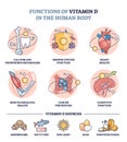 Functions of vitamin D in human body and sources in food outline diagram