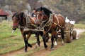 FUNDATURA PONORULUI, ROMANIA, 27 OCTOBER, 2018 - Old traditional wooden char