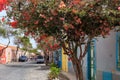 Fundo das Figueiras colorful street , Boa Vista. Cape Verde. Royalty Free Stock Photo