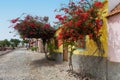 Fundo das Figueiras colorful cobblestone street , Boa Vista. Cape Verde. Royalty Free Stock Photo