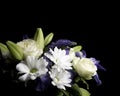 Funeral Bouquet purple White flowers, Sympathy and Condolence Concept on blackbackground with copy space Royalty Free Stock Photo