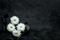 Funeral symbols. White flower near black ribbon on black background top view copy space