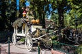 Funeral Wagon Disneyland Halloween Haunted House