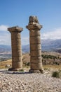 Funerary columns at Karakus