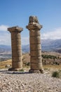 Funerary columns at Karakus