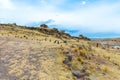 Funerary towers in Sillustani, Peru,South America- Inca prehistoric ruins near Titicaca lake area. Royalty Free Stock Photo