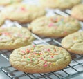 Freshly Baked Funfetti Sugar Cookies On Rack, Delicious Homemade Cookies with Sprinkles Royalty Free Stock Photo