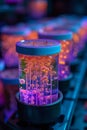 Fungal Culture Growth in Laboratory Conditions