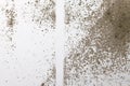 Fungal mold growing on white room wall Royalty Free Stock Photo
