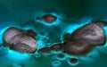 Fungal spores in the liquid. Viral bacterium in the blood.Fungal infection. Distribution and multiplication of fungi and