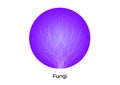 Fungi icon vector on white background