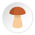 Fungus boletus icon circle