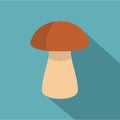 Fungus boletus icon, flat style