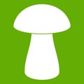 Fungus boletus icon green