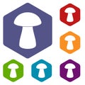 Fungus boletus icons set hexagon