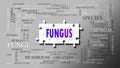 Fungus - a complex subject, related to many concepts. Pictured as a puzzle and a word cloud made of most important ideas and