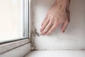 Fungus and mold on the wall and window inside the apartment. The problem of ventilation, dampness, cold in the apartment Royalty Free Stock Photo