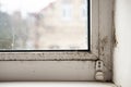 Fungus on the window and walls from excessive moisture in winter. The problem of ventilation, dampness, cold in the apartment Royalty Free Stock Photo