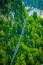 Funicular railway over the green forest