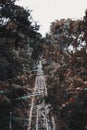 Funicular railway track in a forest Royalty Free Stock Photo